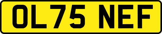 OL75NEF