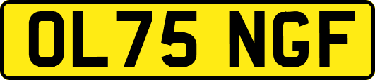 OL75NGF