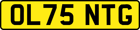 OL75NTG