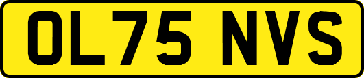 OL75NVS