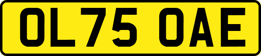 OL75OAE
