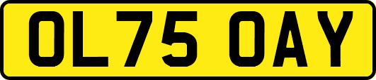 OL75OAY