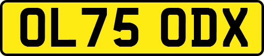 OL75ODX
