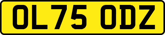 OL75ODZ