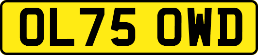 OL75OWD
