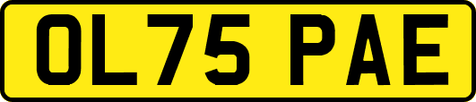 OL75PAE