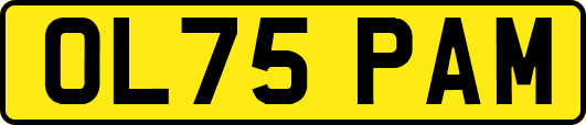 OL75PAM