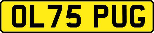 OL75PUG
