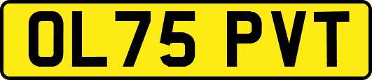 OL75PVT