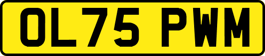 OL75PWM