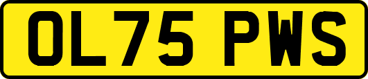 OL75PWS