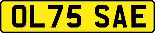 OL75SAE