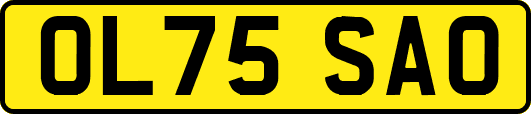 OL75SAO