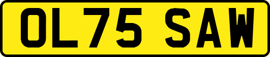 OL75SAW