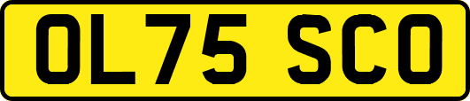 OL75SCO