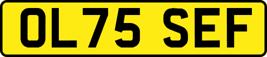 OL75SEF