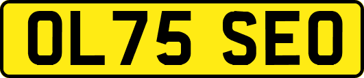 OL75SEO