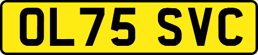 OL75SVC