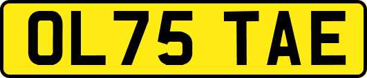 OL75TAE