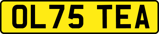 OL75TEA