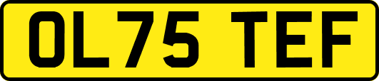 OL75TEF