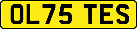 OL75TES