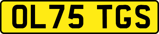 OL75TGS
