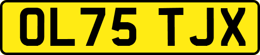 OL75TJX