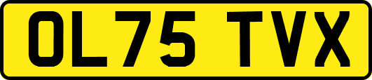 OL75TVX