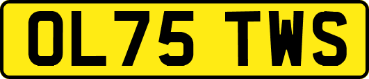 OL75TWS