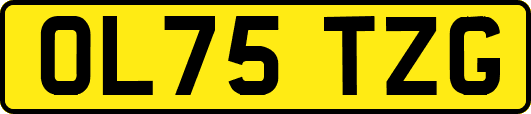 OL75TZG
