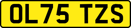 OL75TZS