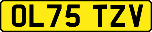 OL75TZV