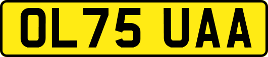 OL75UAA