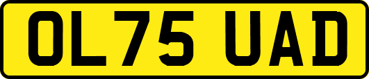 OL75UAD