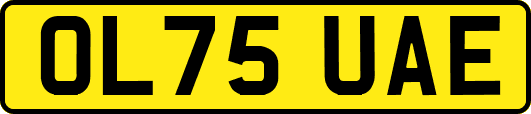 OL75UAE