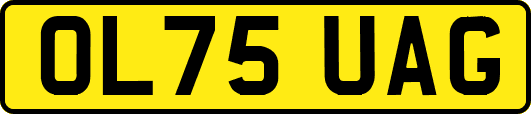 OL75UAG