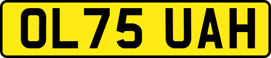 OL75UAH