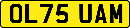 OL75UAM