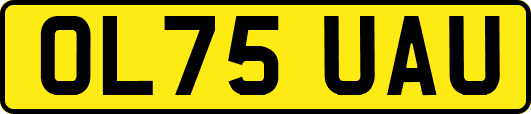 OL75UAU