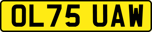 OL75UAW