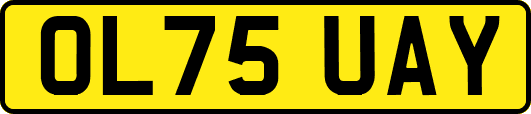OL75UAY