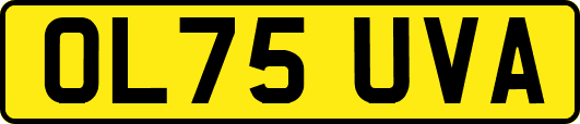 OL75UVA