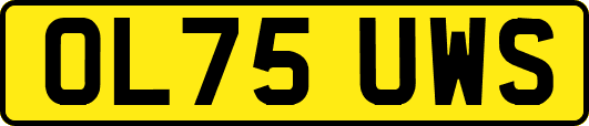 OL75UWS
