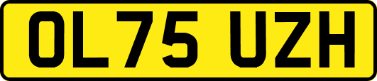 OL75UZH