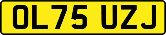 OL75UZJ