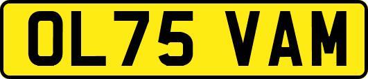 OL75VAM