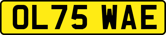 OL75WAE