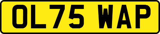 OL75WAP