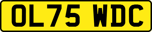 OL75WDC